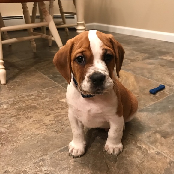 Meet your Posher, Kim - Picture 1 of 1